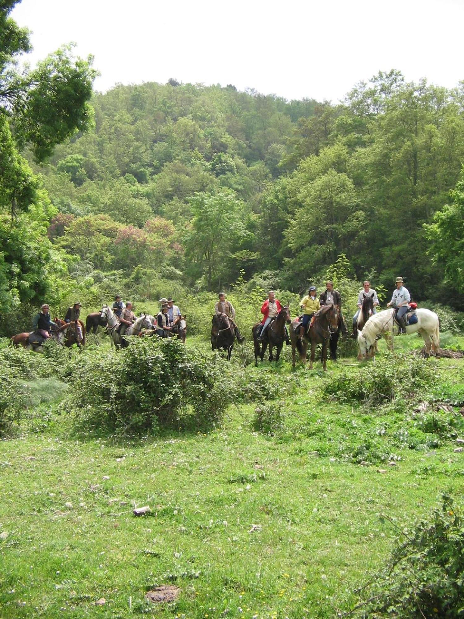 Agriturismo Casale Bonaparte Cellere Kültér fotó