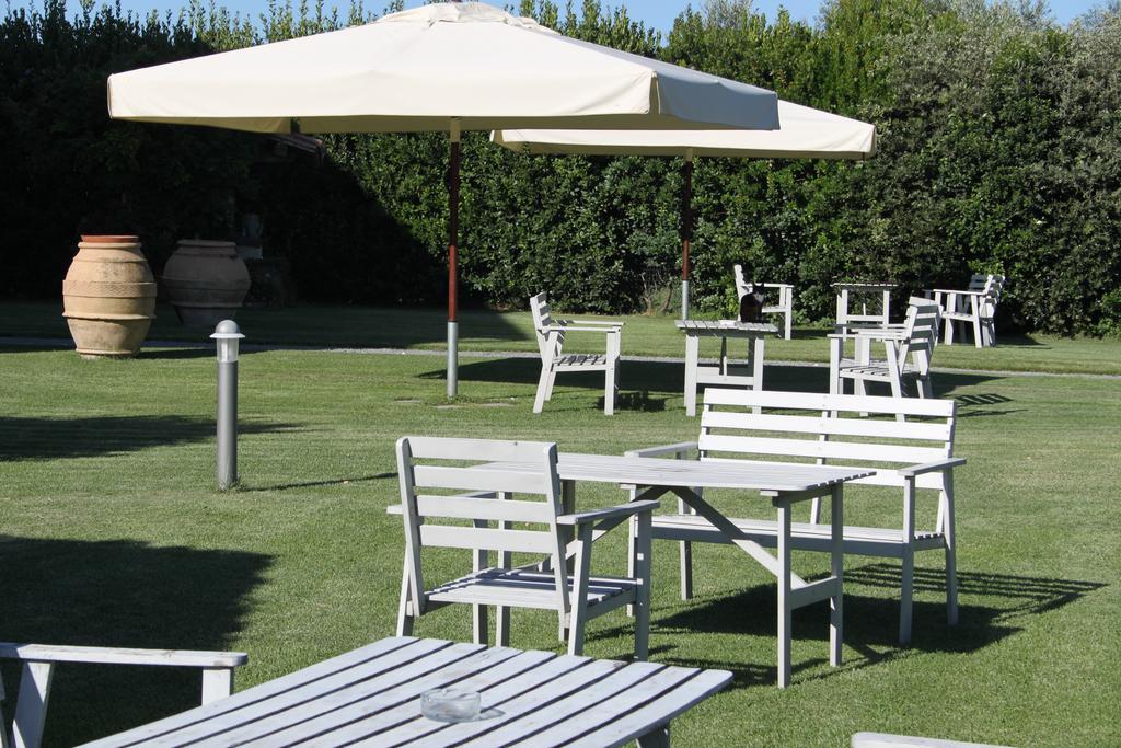 Agriturismo Casale Bonaparte Cellere Kültér fotó