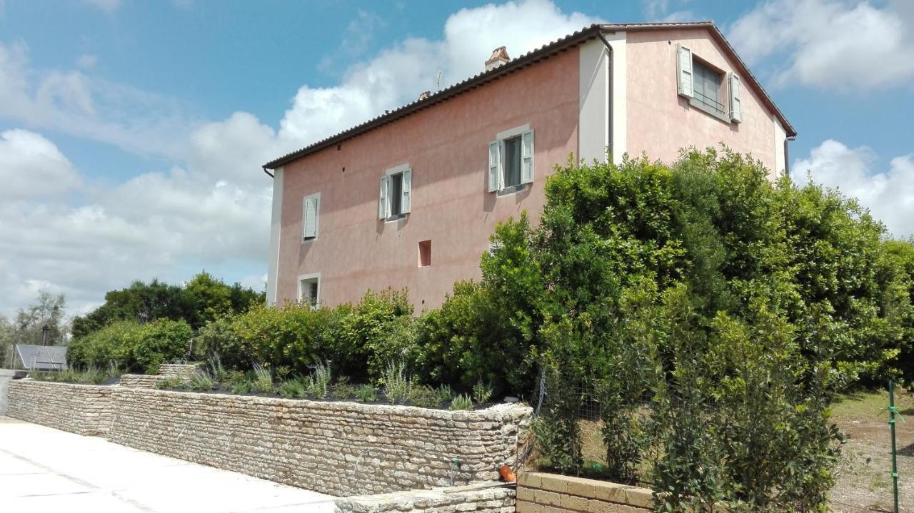 Agriturismo Casale Bonaparte Cellere Kültér fotó