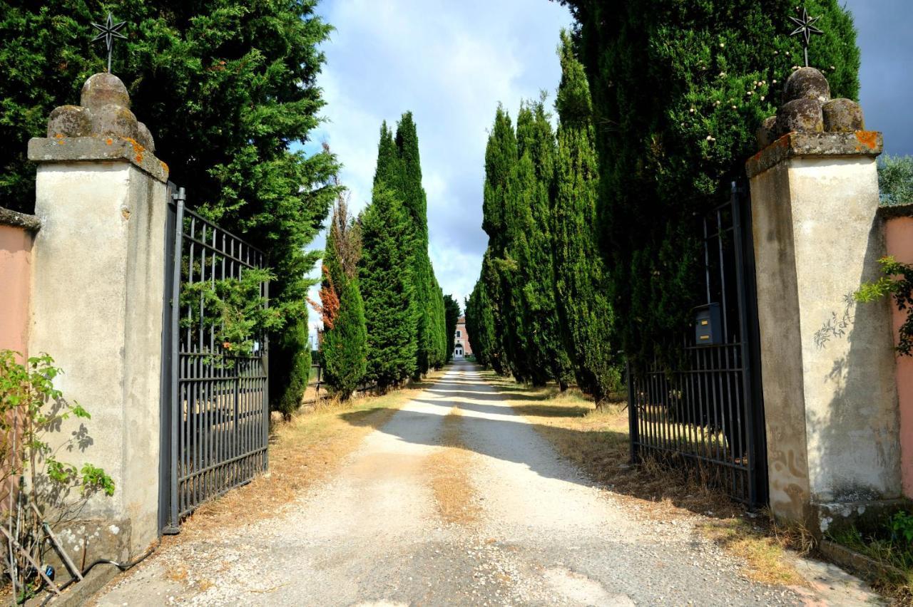 Agriturismo Casale Bonaparte Cellere Kültér fotó